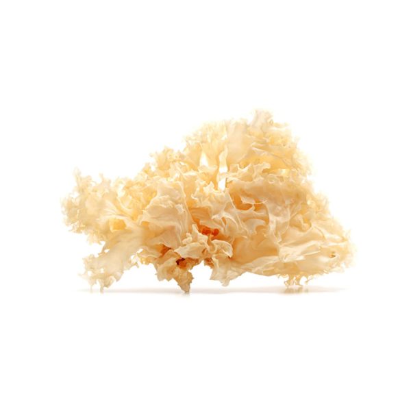 Dried White Fungus