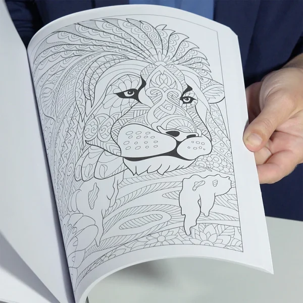 Coloring Drawing Book