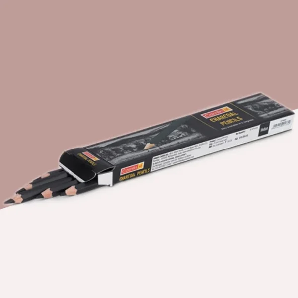 Camlin Charcoal Pencil Set of 10pc